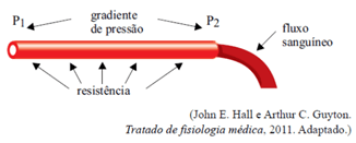 exercicio fluxo unesp