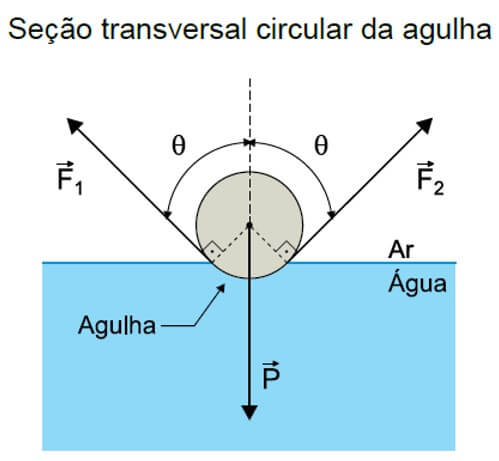 seção transversal de uma agulha circular flutuando na água.