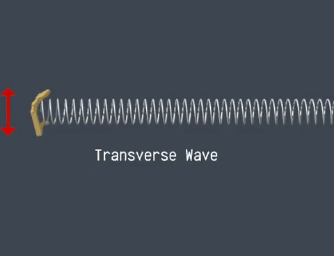 gif onda transversal gif onda transversal